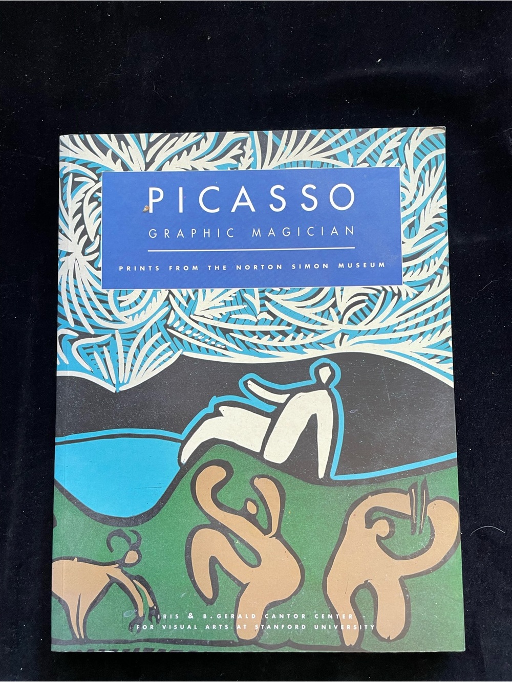 Picasso Graphic Magician: Prints from the Norton Simon Museum P B Book